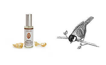 Aromaspray fürs Zirbenkissen Zirbenkissen Aromaspray