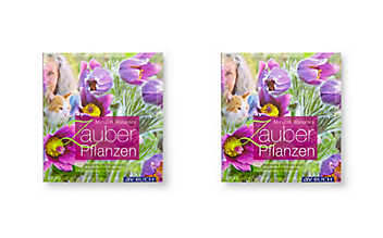 Miriam Wiegeles Zauberpflanzen Zauberpflanzen