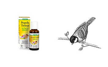 Pflegende Propolis-Tinktur Pflegende Propolis-Tinktur