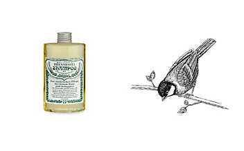 Pflegendes Shampoo mit Brennnessel Brennessel-Shampoo
