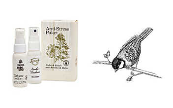 Kleines Geschenk-Set Anti-Stress Geschenk-Set Anti-Stress
