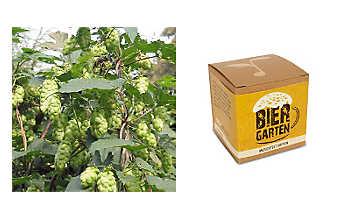 Anzuchtset Biergarten Anzuchtset Biergarten