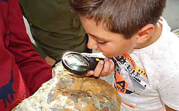 Sensations-Fund in Kärnten: Bub (9) macht unglaubliche Entdeckung - (c) Foto: Gailtal Journal Sensations-Fund in Kärnten: Bub (9) macht unglaubliche Entdeckung