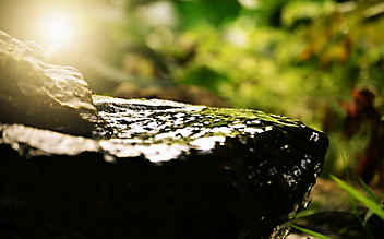 So klappt es mit der Konzentration - (c) Pixabay So klappt es mit der Konzentration