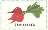 Diese Gemüsesorten haben im April Saison - (c) Illustration: Katrin Wiehle Diese Gemüsesorten haben im April Saison