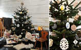Kleine Christbaum-Kunde - (c) Foto: Alexi Pelekanos Kleine Christbaum-Kunde