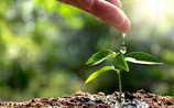 August-Gartentipp Nr. 4: Düngen nach Maß und Ziel - (c) Foto: Thinkstock August-Gartentipp Nr. 4: Düngen nach Maß und Ziel