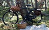 Drei versteckte Picknick-Plätze in Wien-Umgebung - (c) Foto: Mauritius Images Drei versteckte Picknick-Plätze in Wien-Umgebung