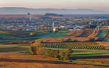4 Gründe, warum es uns ins Mittelburgenland zieht
- (c) Foto: Mauritius Images 4 Gründe, warum es uns ins Mittelburgenland zieht