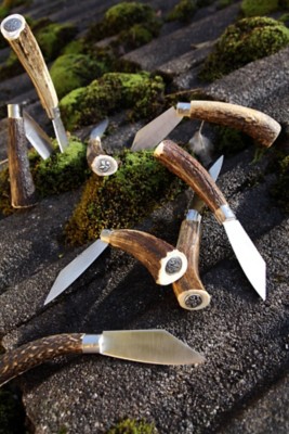 Feitl aus Hirschhorn - bei servus.com